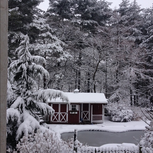 ✨Meet your Posher✨ - Picture 12 of 14